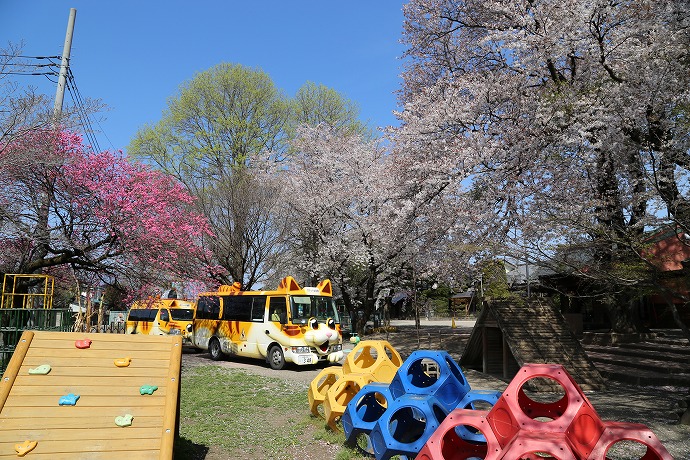 ポケット幼稚園 ポケット幼稚園は 前橋市の幼稚園型認定こども園です